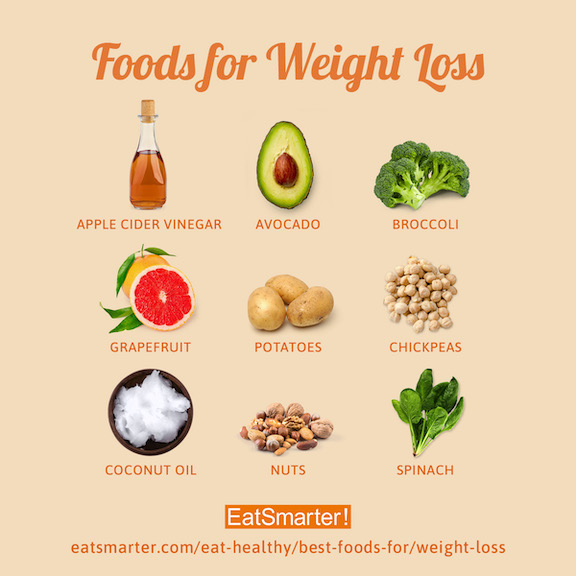 Healthy Foods That May Help You Lose Weight – Data Alliance